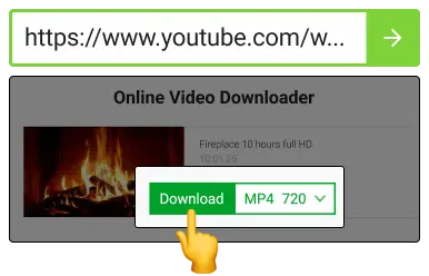 Start with Copying the Video URL